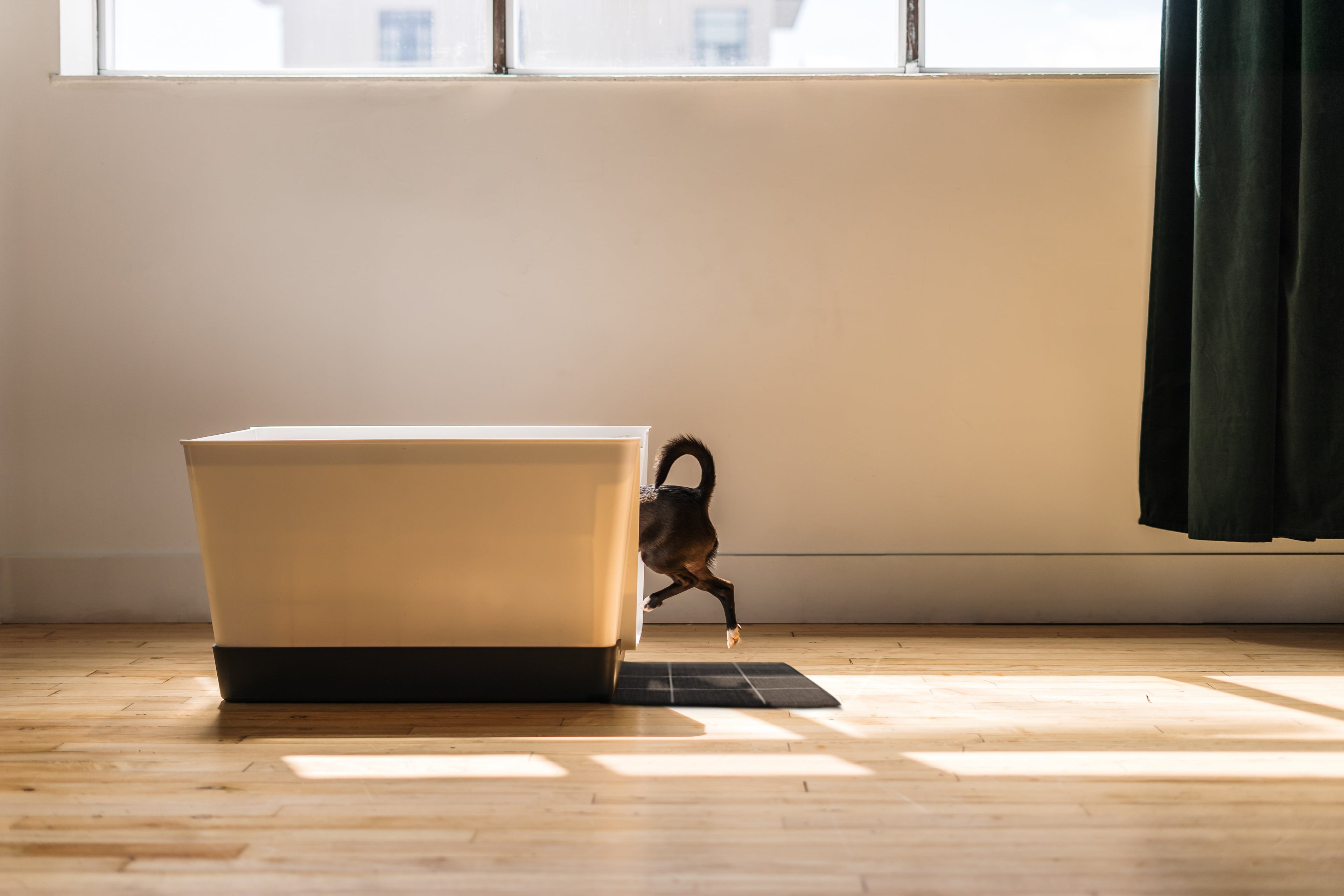 Dog Litter box, doggy bathroom, dog tray, dog potty tray, doggybathroom