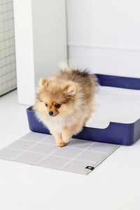 Doggy Bathroom Tray: Pee Pad Holder Navy Blue Regular