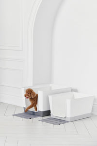 Doggy Bathroom Light Grey Regular 1 Doggy Bathroom