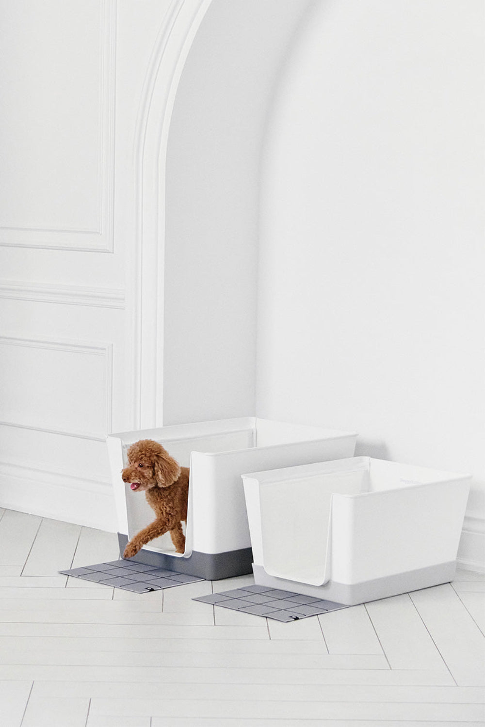 Doggy Bathroom Light Grey Regular 1 Doggy Bathroom