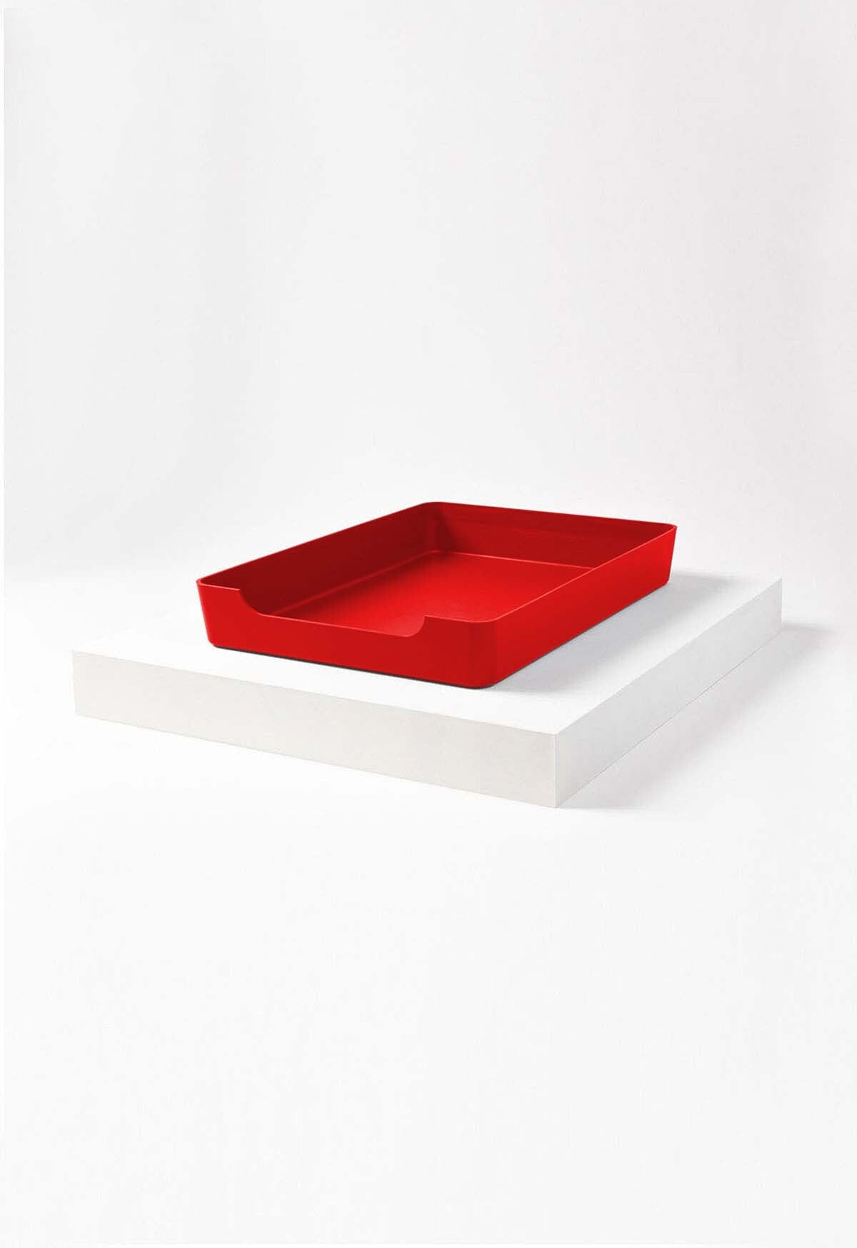 Doggy Bathroom Tray: Pee Pad Holder