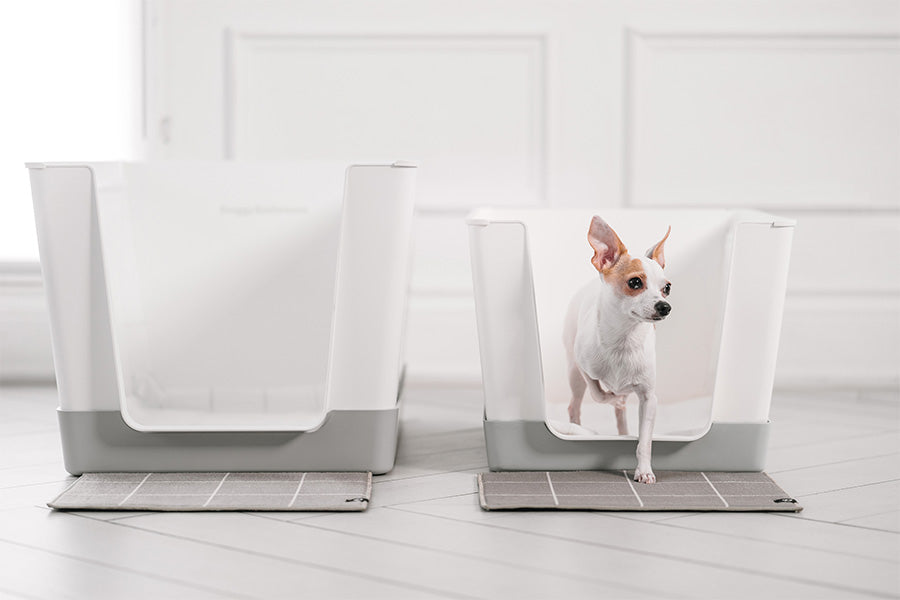 Doggy Bathroom, Dog Litter Box