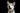 how to stop dog barking, reduce dog barking, dog barking solutions, dog barking training tips, stop excessive barking, control dog barking at home