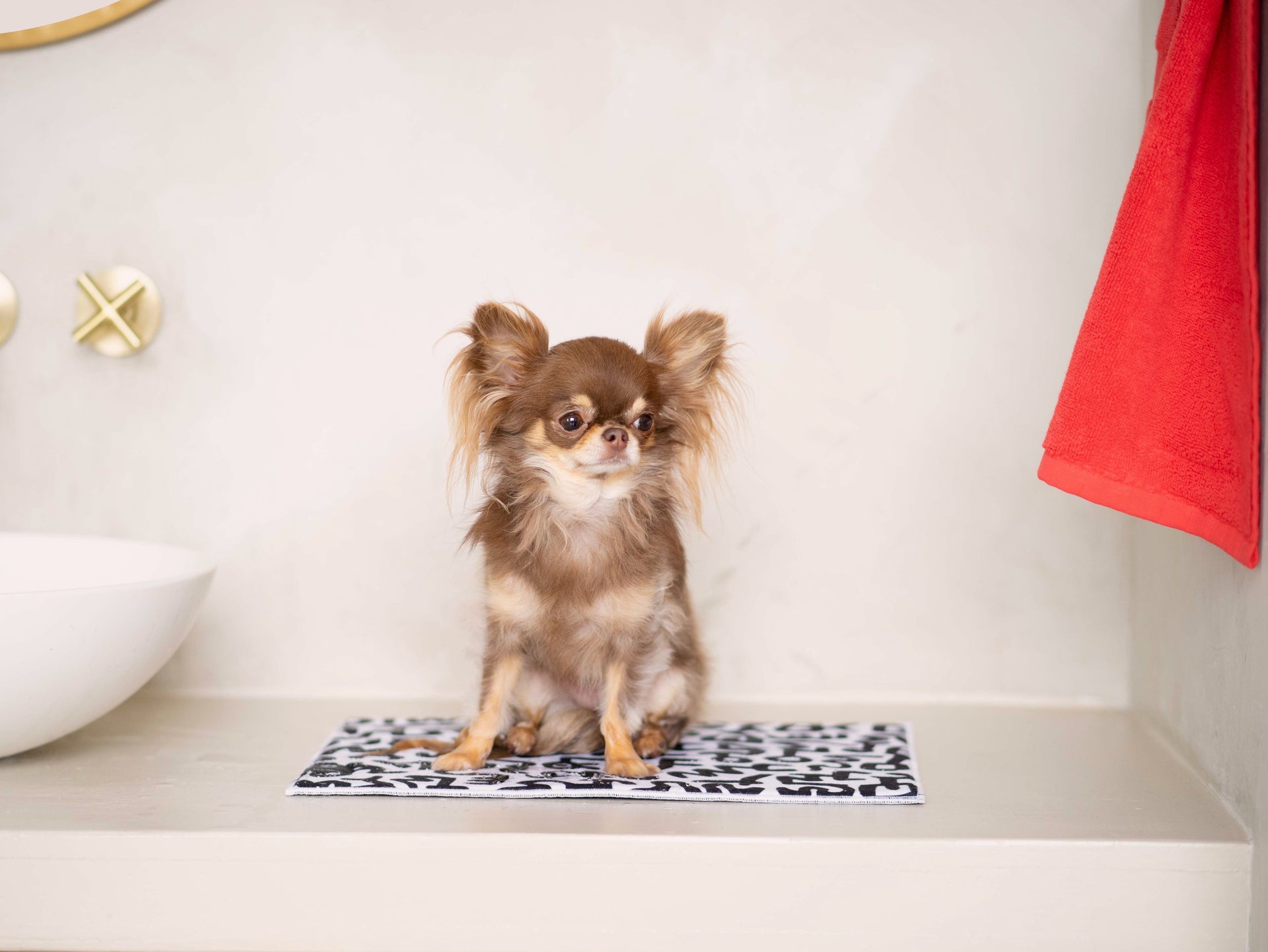 The Story Behind the Doggy Bathroom x Keith Haring Collection