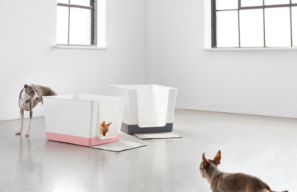 Doggy Bathroom Gives Back for Breast Cancer Awareness Month