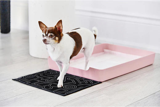 doggy bathroom, pee pads, mats