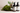 The BIO•SPA Collection by DoggyBathroom Now Supports Tree Planting with PlantTrees