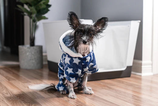 doggy bathroom, pee pads