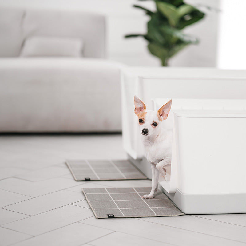 All Products: Doggy Bathroom, Pee Pads & BIO•SPA