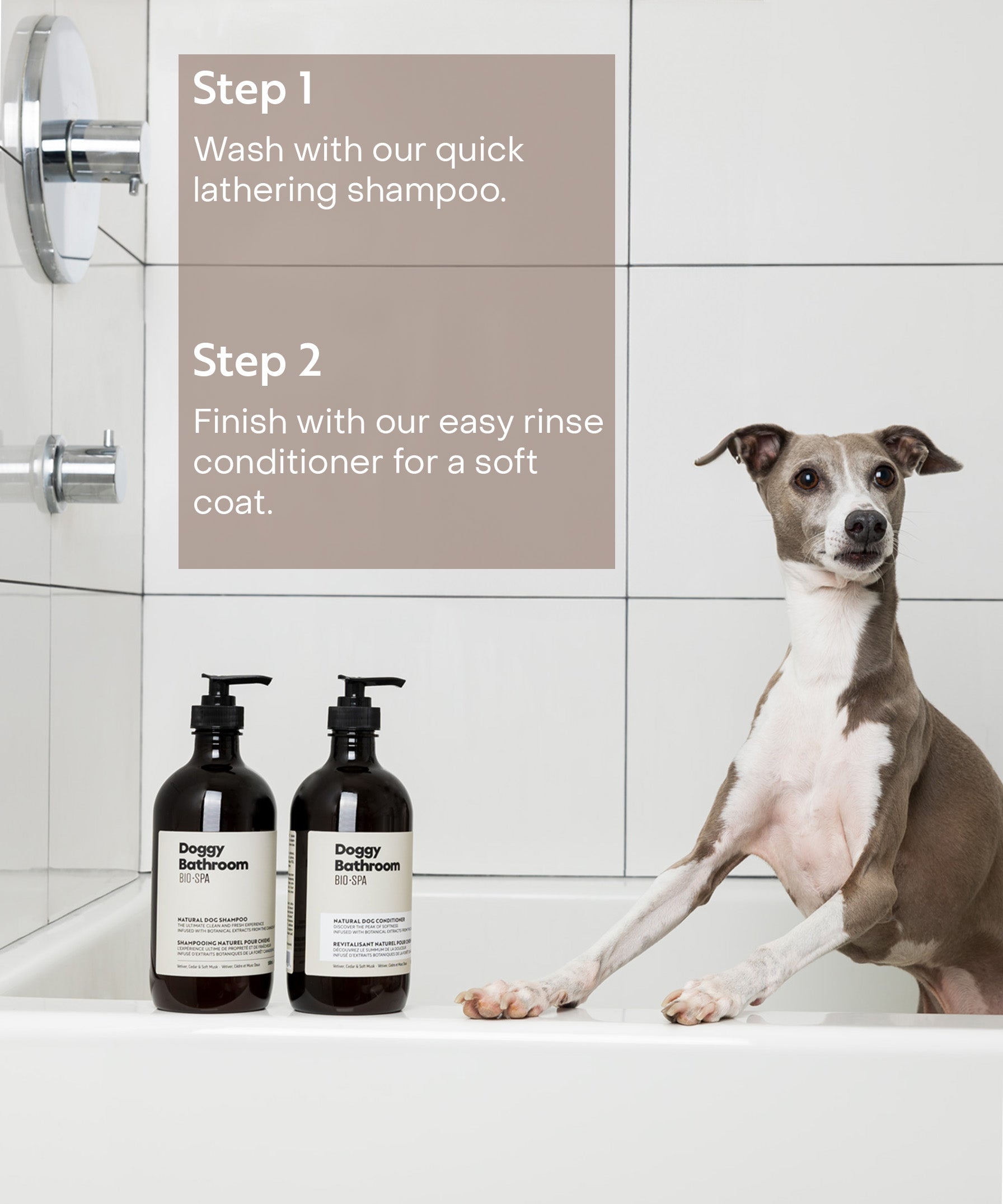 Best Natural Dog Shampoo for Healthy Skin Coat BIO•SPA