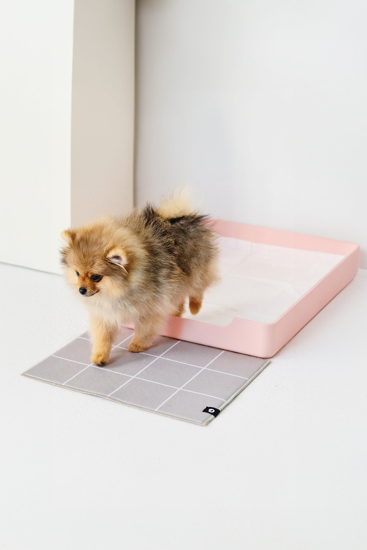 Doggy Bathroom Tray Pink Regular 