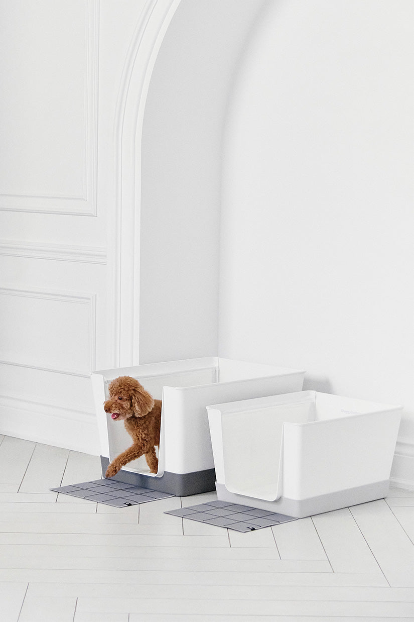 Doggy Bathroom Dark Grey Regular 