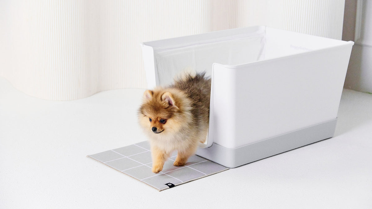 Indoor Dog Potty for Small Dogs | Doggy Bathroom Canada – Doggy ...