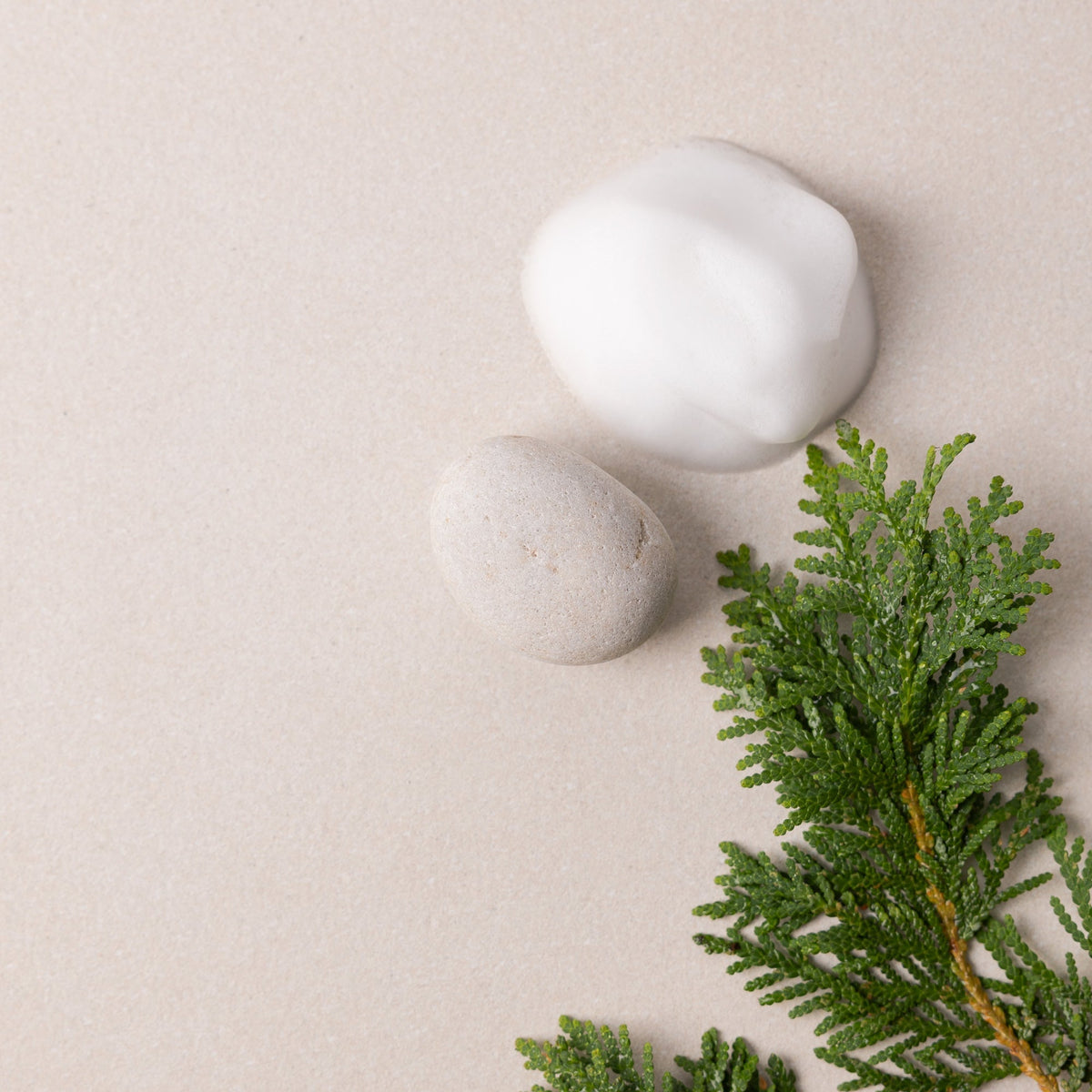 Two white stones and a green branch on a beige background
