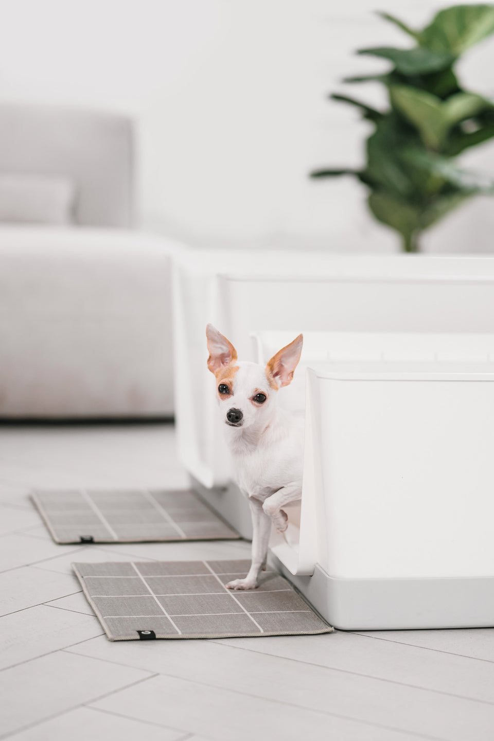 Doggy Bathroom Mini