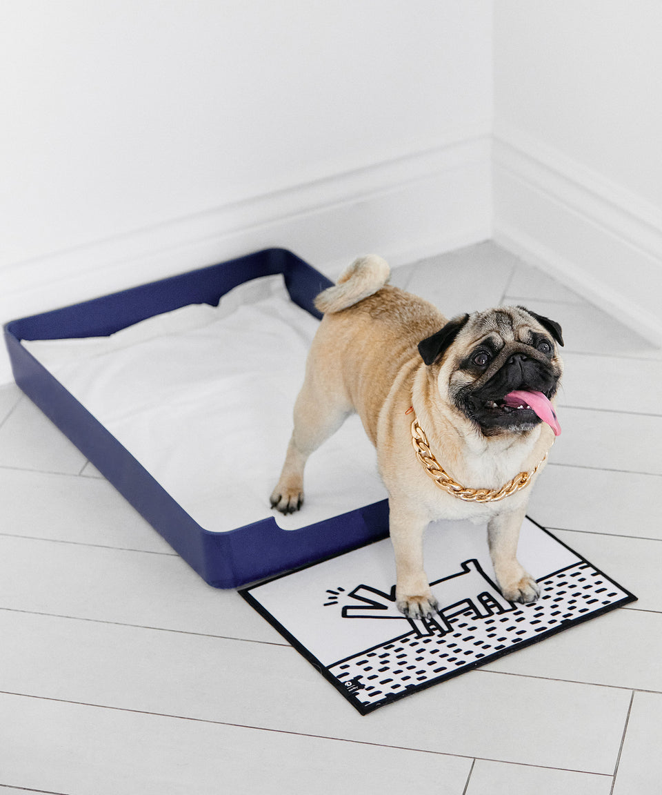 Base Doggy Tray
