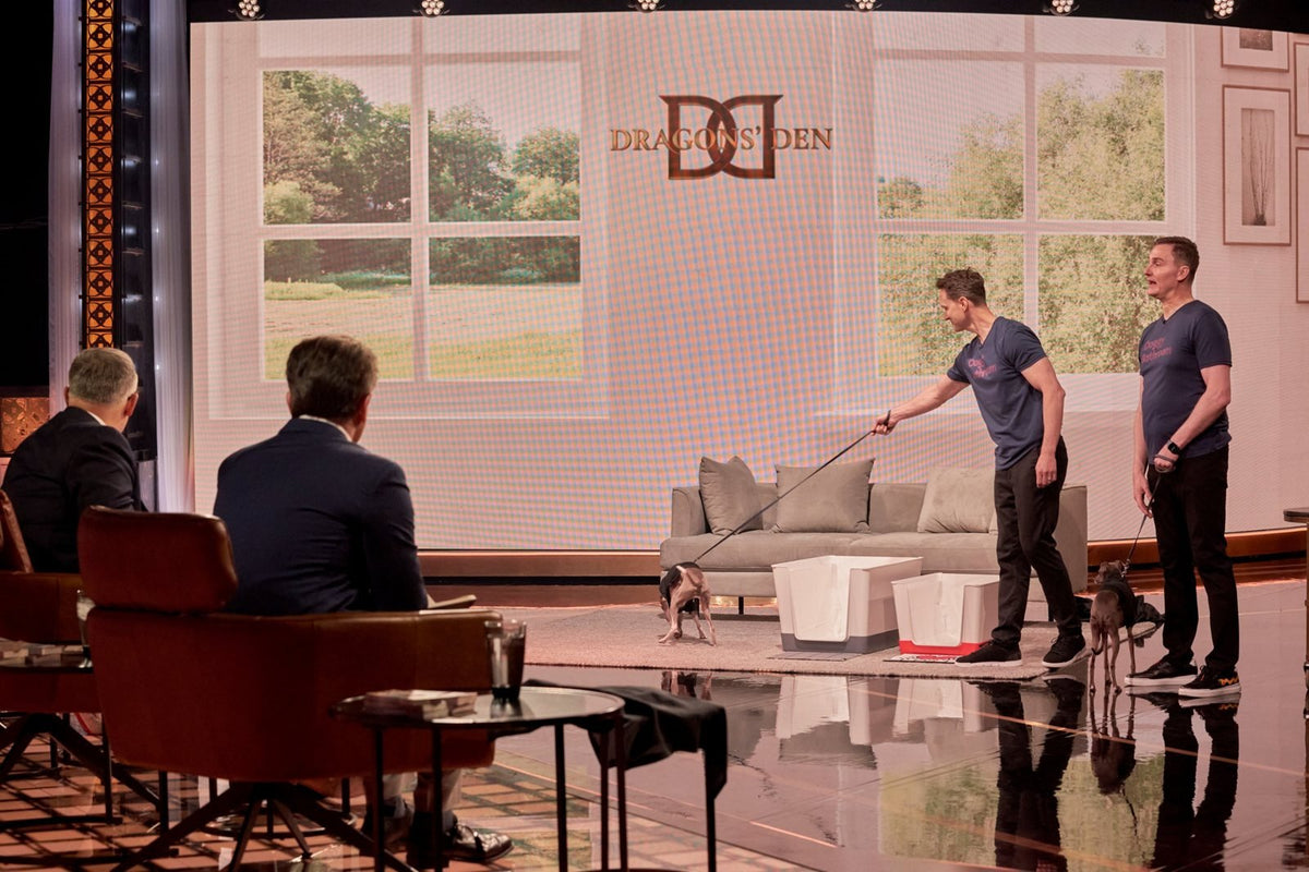 The Doggy Bathroom founders and their Italian greyhounds pitching two Doggy Bathrooms to the Dragons on CBC's Dragons' Den