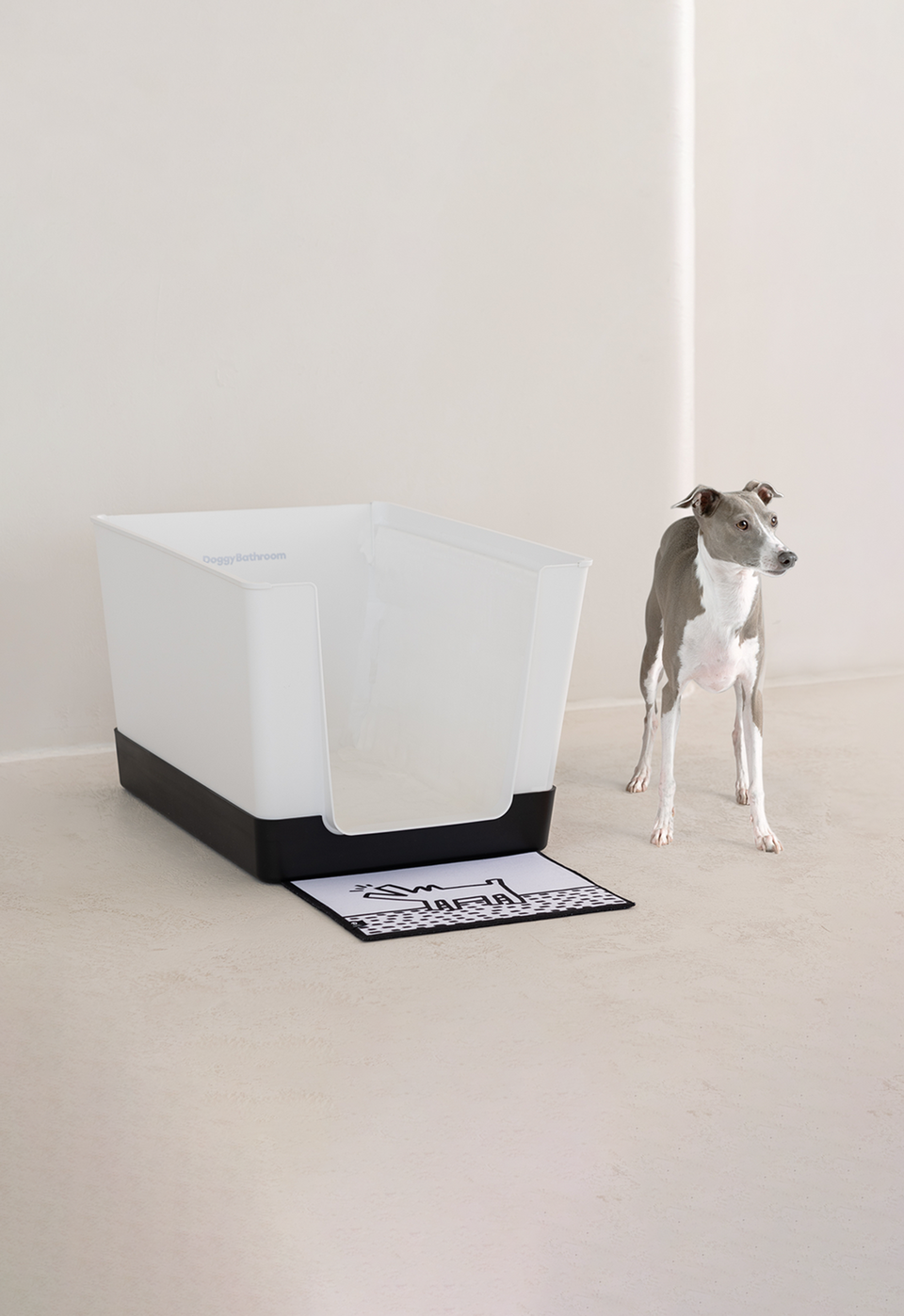 Kit de démarrage Doggy Bathroom x Keith Haring