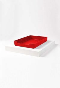 Doggy Bathroom Tray: Pee Pad Holder
