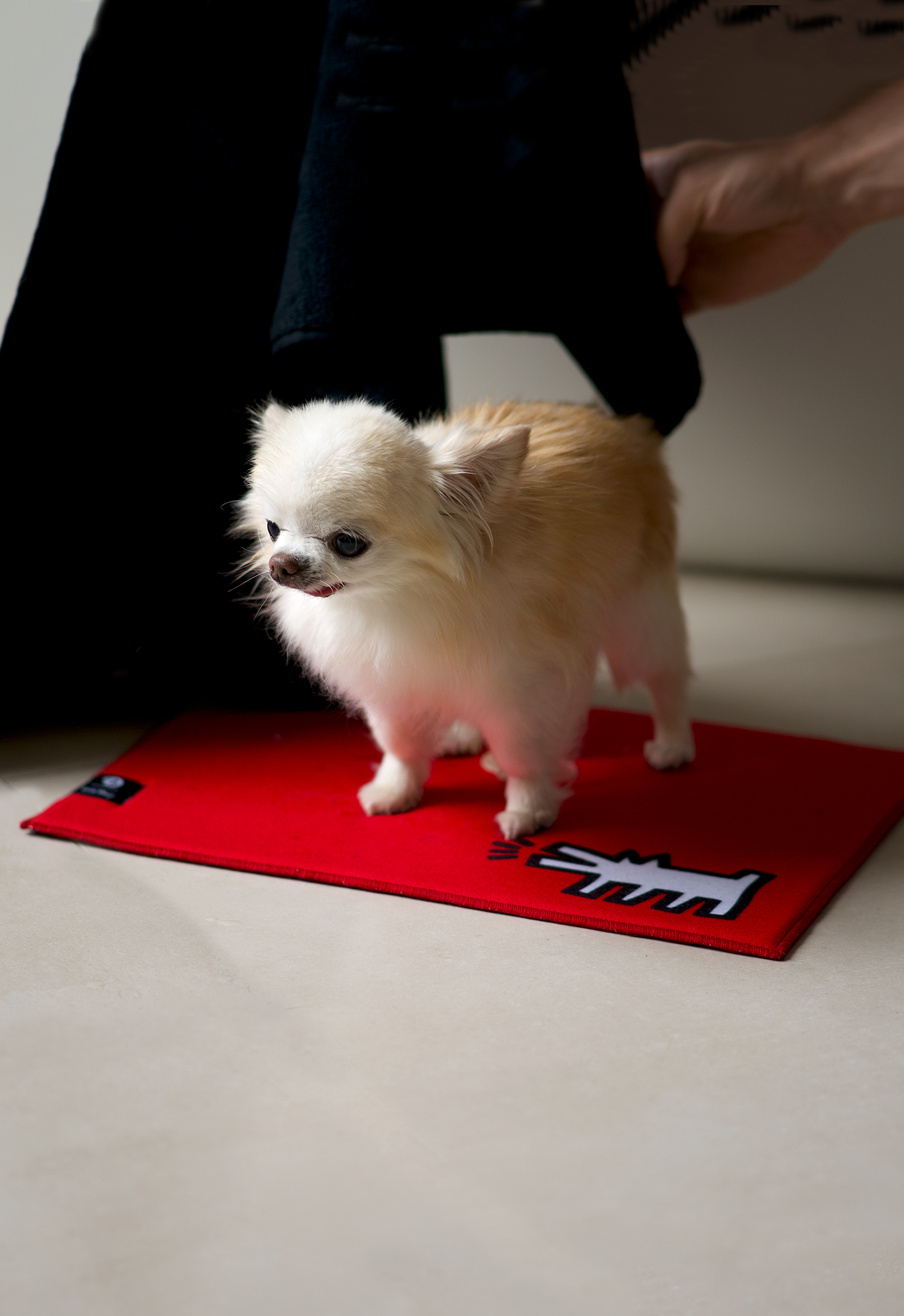 Ensemble de bain Doggy Bathroom x Keith Haring